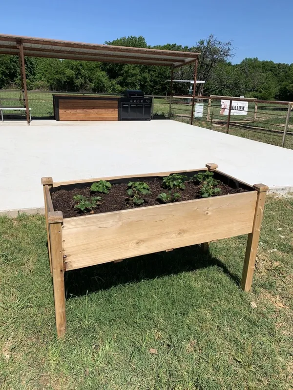 Raised community garden beds growing vegetables at Waggin' Tail Ranch RV Resort in Pilot Point, TX