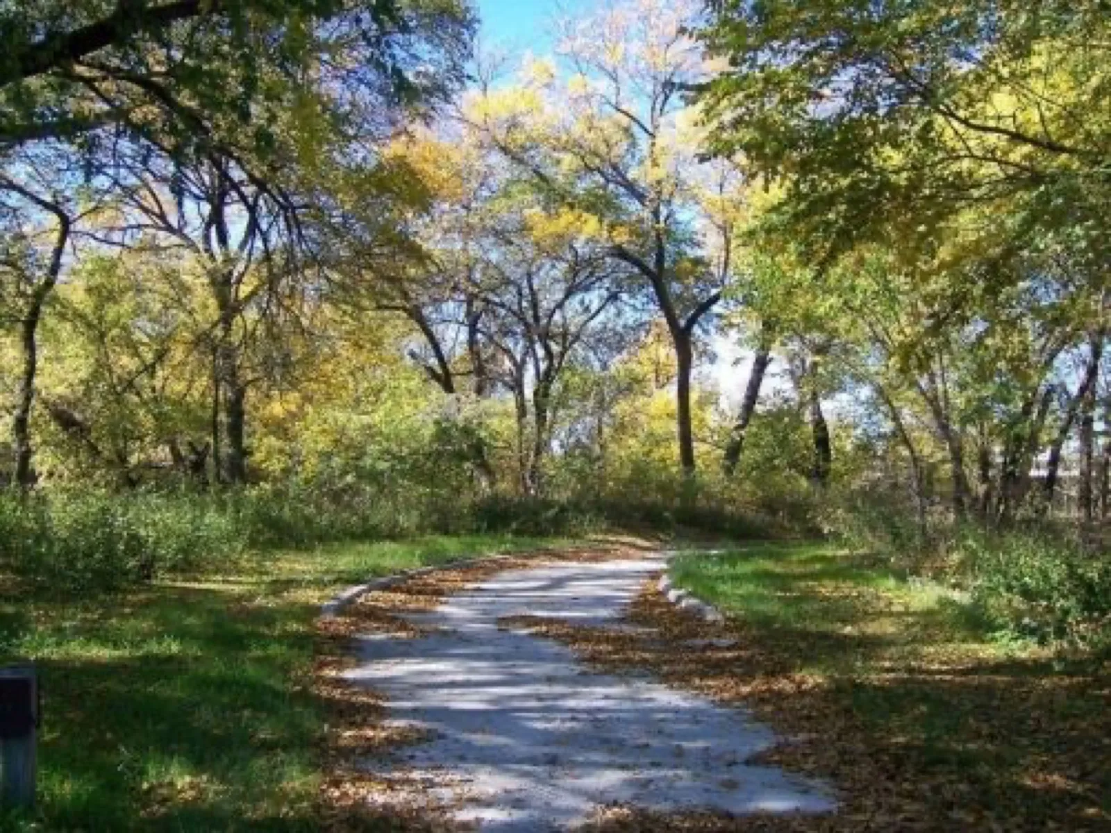A shaded trail on the Ray Roberts Greenbelt Corridor near Pilot Point, TX