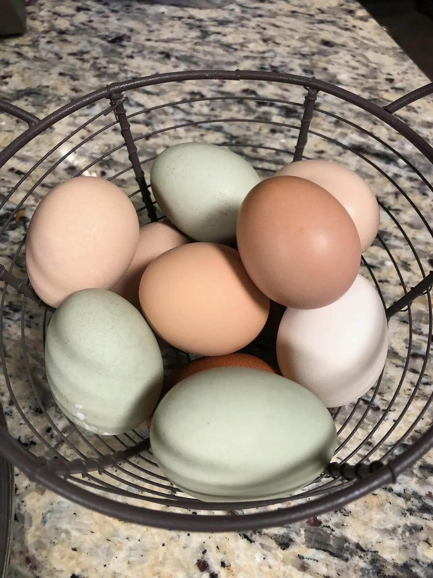 A basket of farm-fresh eggs from the resort coop · Waggin' Tail Ranch RV Resort, Pilot Point, Texas
