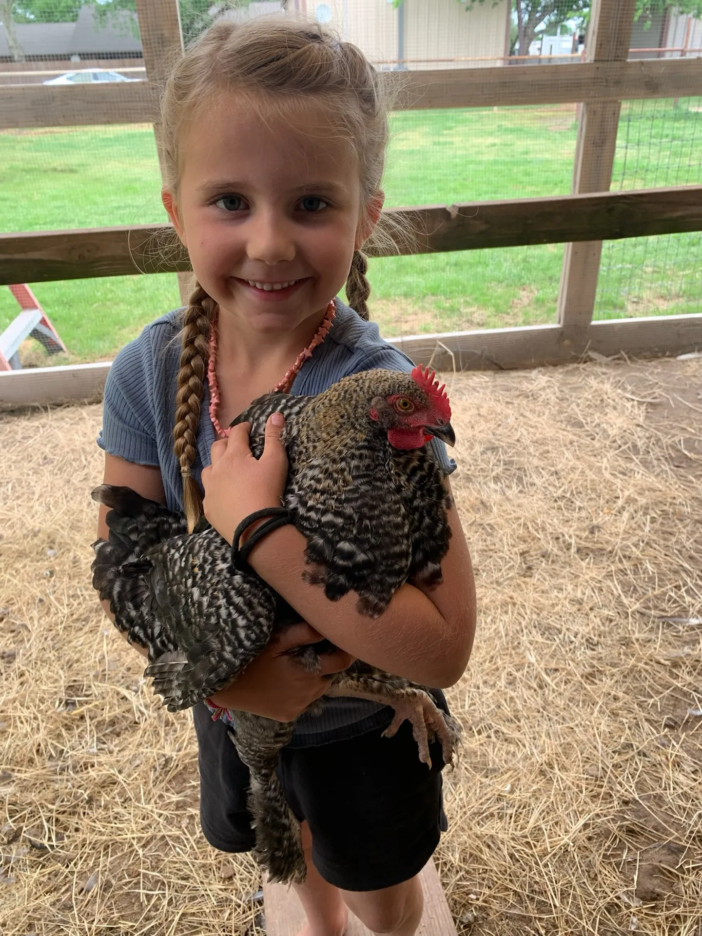 A young guest holding one of the resort chickens · Waggin' Tail Ranch RV Resort, Pilot Point, Texas
