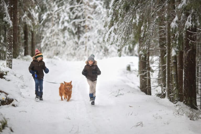 Kids in the snow with their dog