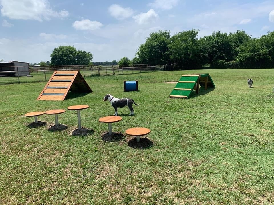 Image of agility course at Waggin' Tail RV Resort