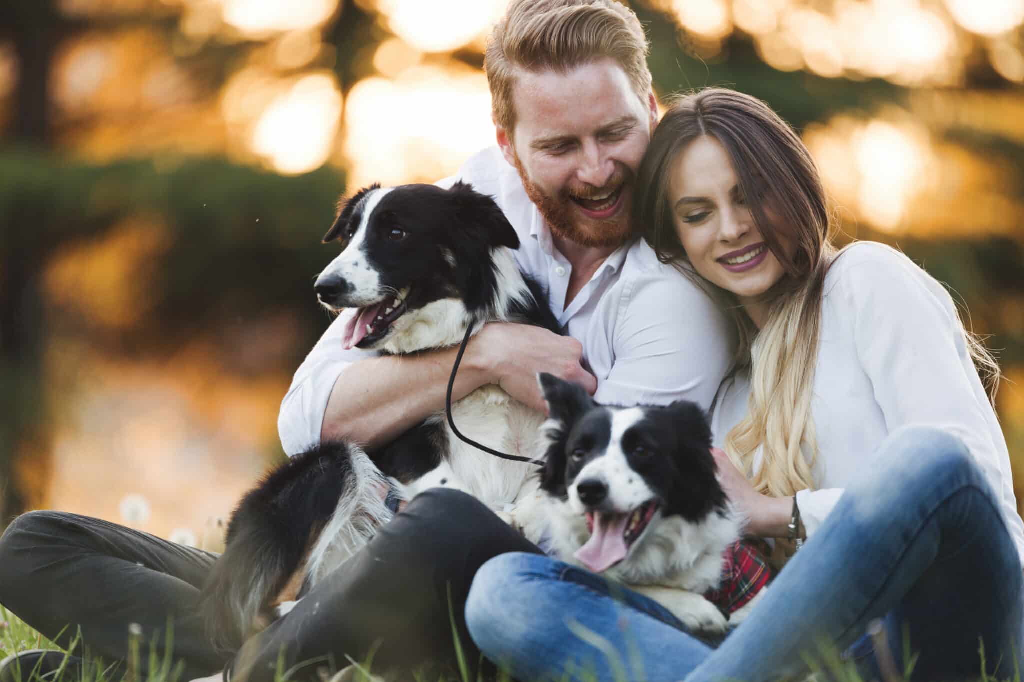 Image of a couple with two border collies