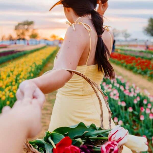 Texas Tulips